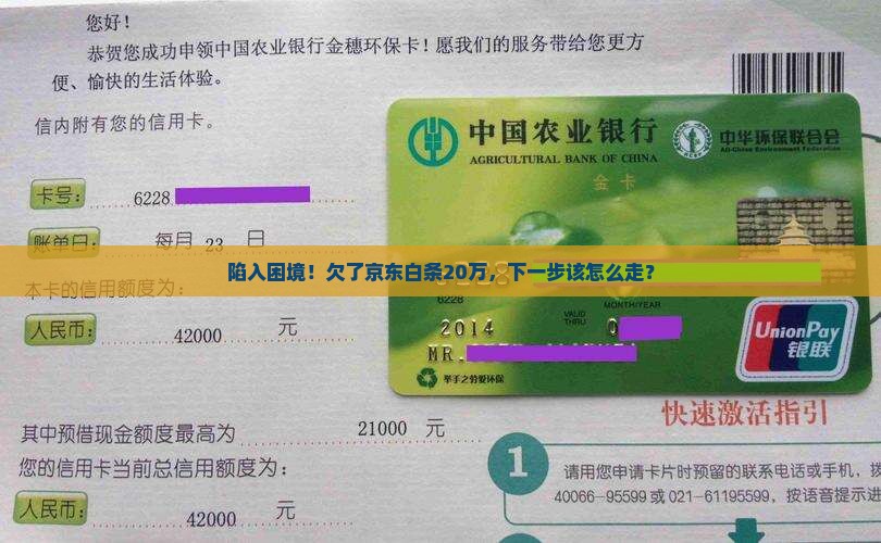 京东白条欠款20万怎么办