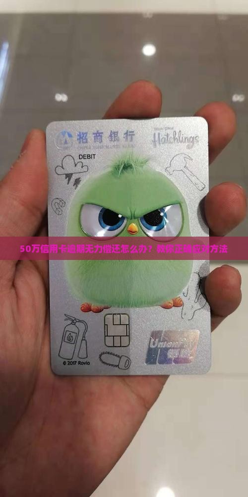 50万信用卡逾期无法还清