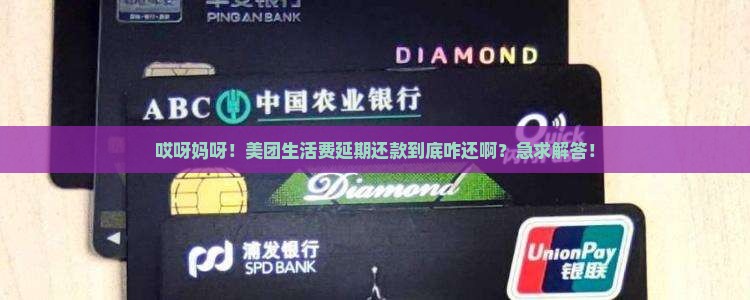 美团生活费延期还款怎么还 美团生活费延期还款怎么还