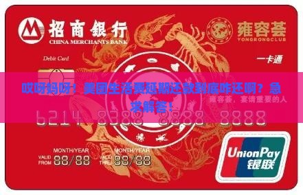 美团生活费延期还款怎么还 美团生活费延期还款怎么还