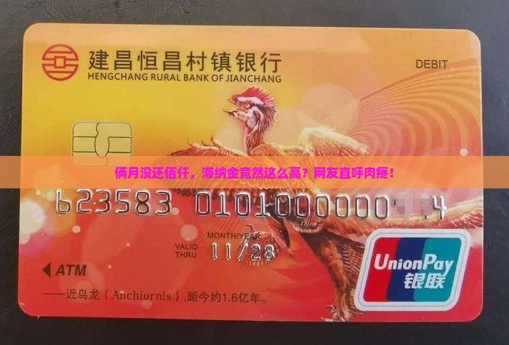 佰仟逾期两个月滞纳金是多少