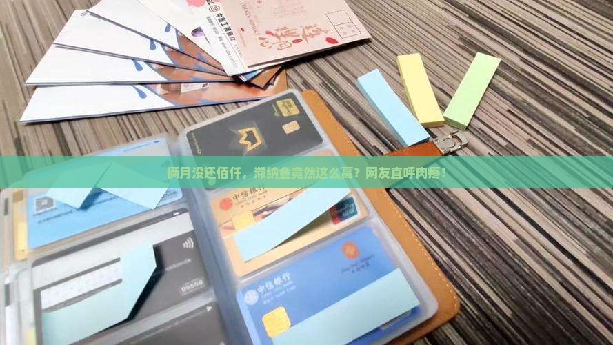 佰仟逾期两个月滞纳金是多少