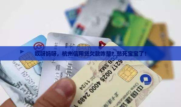 杭州信用贷欠款怎么还
