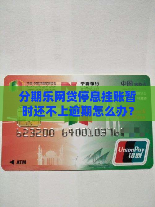 分期乐网贷停息挂账怎么办