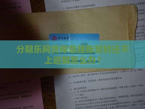 分期乐网贷停息挂账怎么办