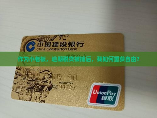 欠工行税贷坐牢亲身经历