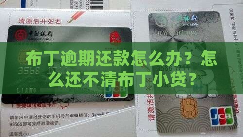 布丁小贷逾期还不起