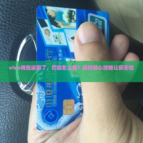 vivo钱包逾期费用计算公式
