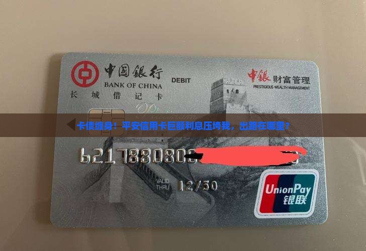 平安信用卡欠款巨额利息怎么解决 平安信用卡欠款巨额利息怎么解决