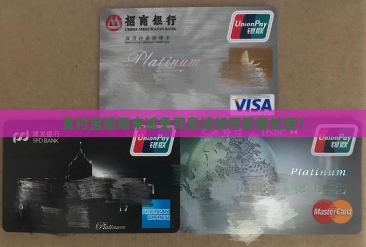 支付宝逾期没有减免罚息怎么处理