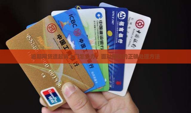 欠网贷被起诉有人上门怎么处理