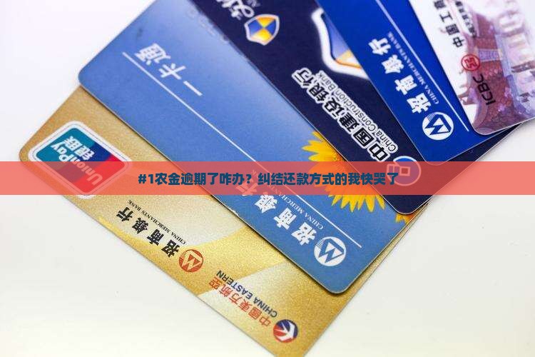 农金逾期了怎么还款方式选择