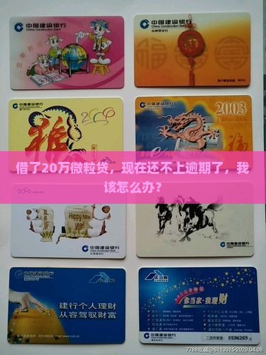 微粒贷20万还不起逾期怎么办