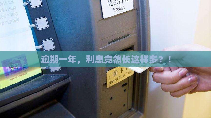 逾期一年利息多少