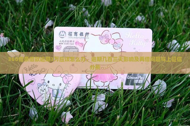 360借条借款逾期3万应该怎么办