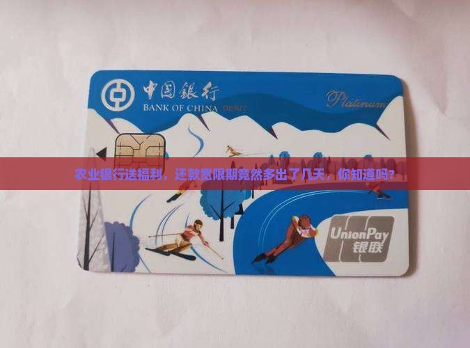 农业银行还款宽限期几天