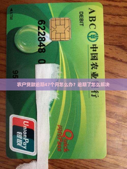 农户贷款逾期47个月该怎么办