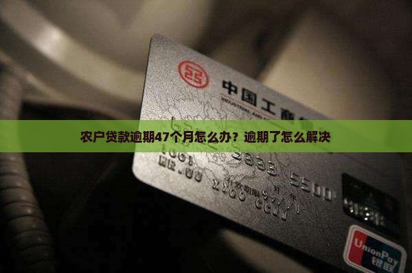 农户贷款逾期47个月该怎么办