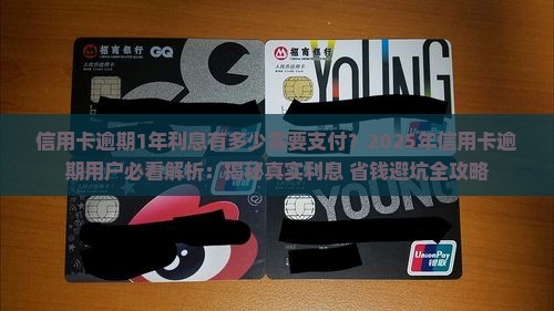 信用卡逾期1年利息有多少需要支付
