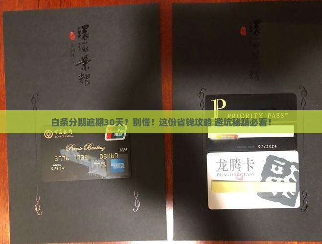 白条分期逾期30天怎么办及后果
