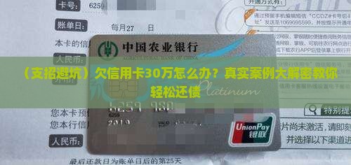 欠信用卡30万如何来还债
