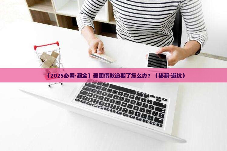 美团借款逾期协商流程详解