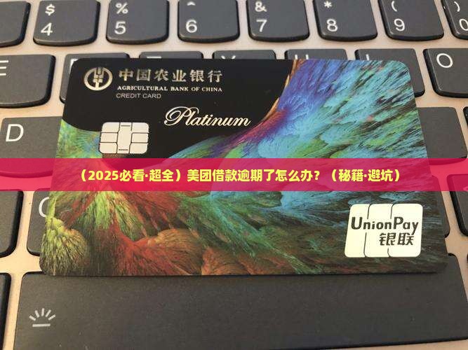 美团借款逾期协商流程详解