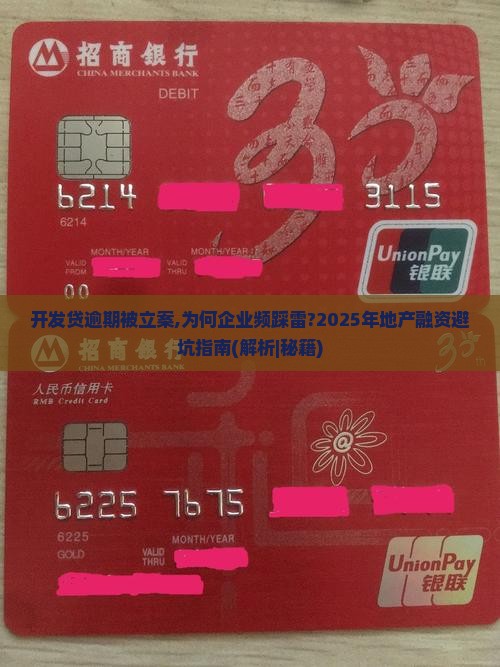开发贷逾期被立案