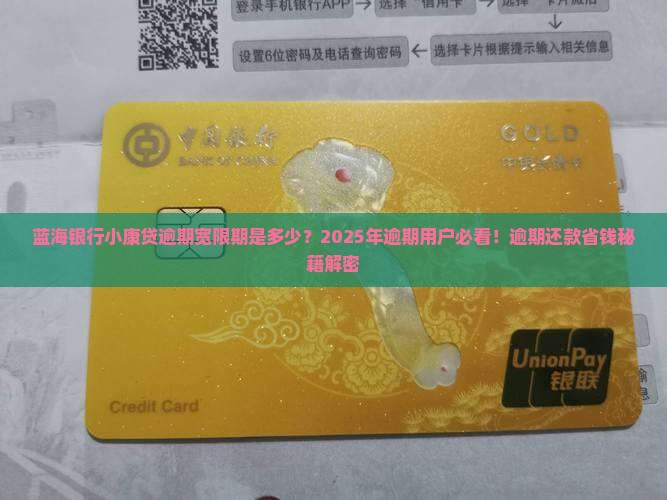 蓝海银行的小康贷逾期宽限期是多少