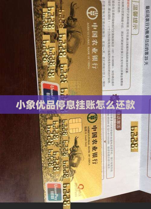 小象优品停息挂账怎么还款