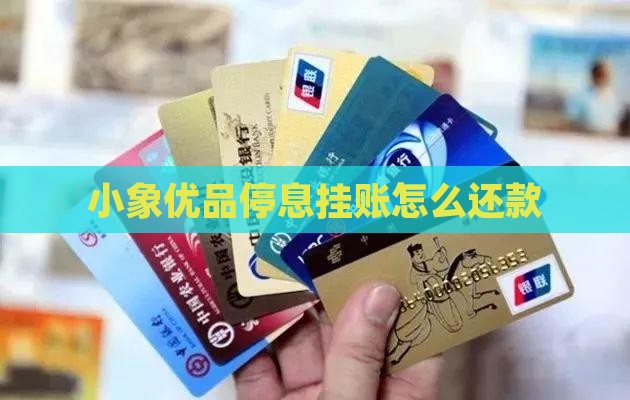 小象优品停息挂账怎么还款