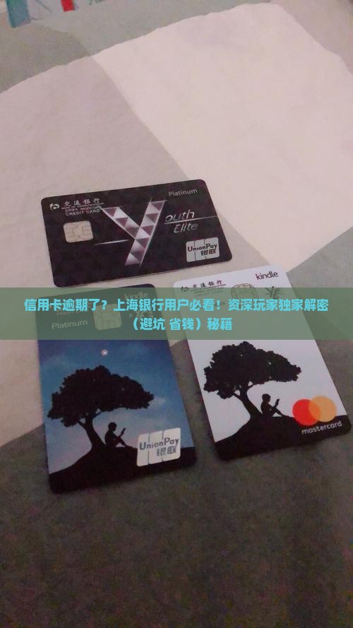上海银行信用卡欠款逾期怎么办