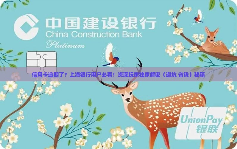 上海银行信用卡欠款逾期怎么办
