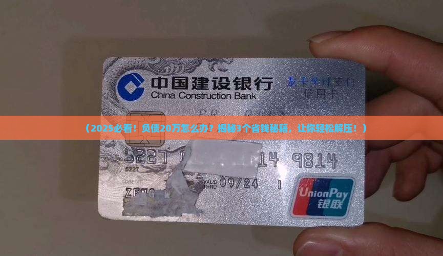 如何处理负债20万的情况