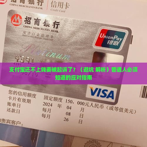 支付宝无力偿还要立案怎么处理
