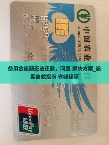 备用金逾期无法还款怎么办