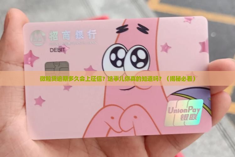 信用卡逾期多少天上征信的相关信息