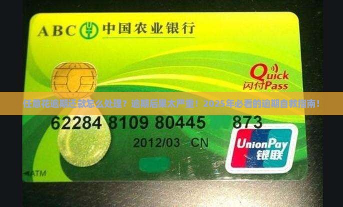 任意花逾期还款怎么处理