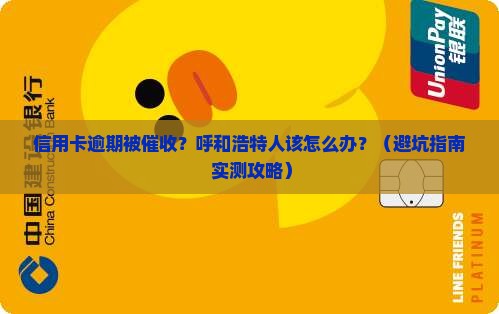呼和浩特信用卡逾期催收应该怎么处理