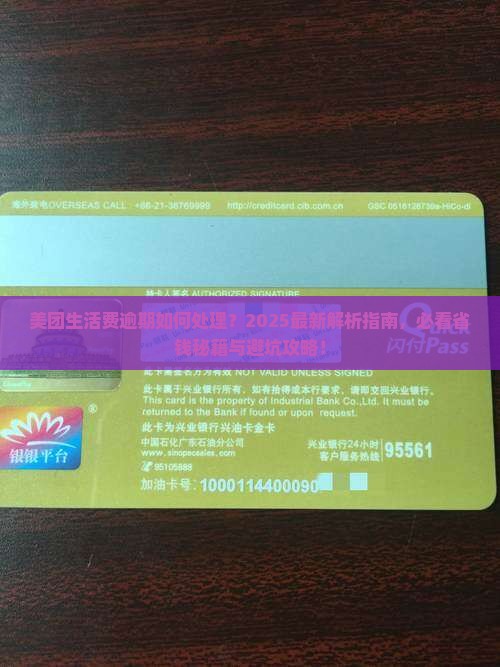 美团生活费如何逾期处理