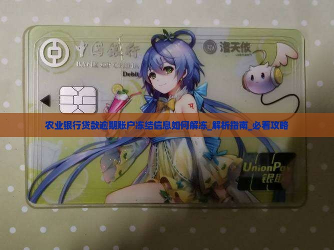 农业银行贷款逾期账户冻结信息如何解冻