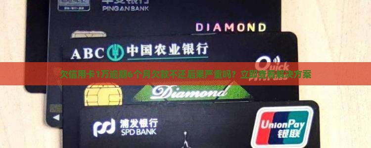 欠信用卡1万逾期6个月