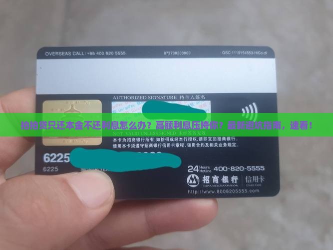 拍拍贷只还本金不还利息怎么办