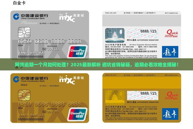 所有网贷逾期一个月如何处理