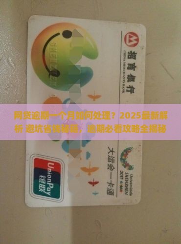 所有网贷逾期一个月如何处理