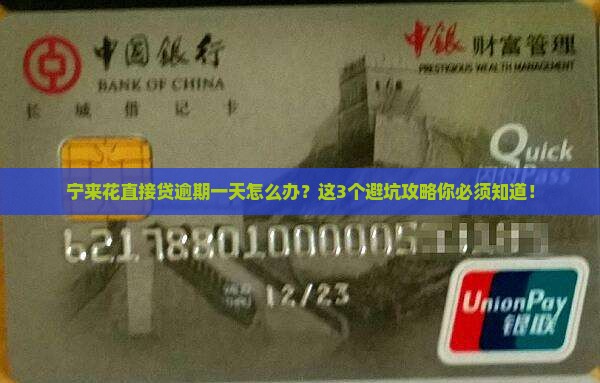 宁来花直接贷逾期一天应该怎么处理