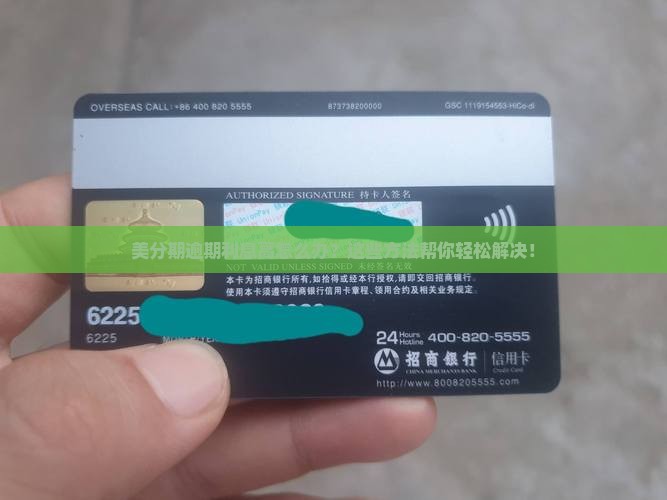 美分期逾期利息高如何解决
