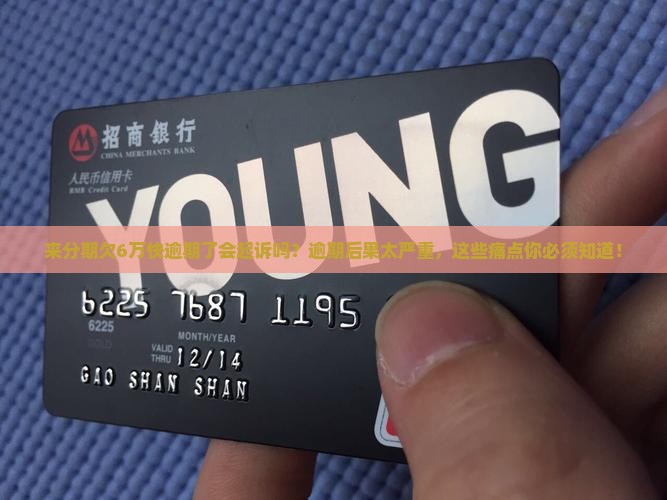 来分期欠6万快逾期了会起诉吗
