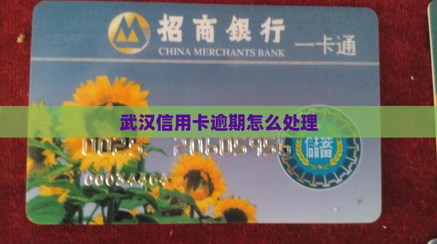 武汉信用卡欠款如何解决