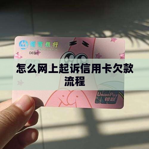 信用卡网上起诉可以吗怎么办